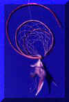 Dolphin Dreams Dream-Catchers of the Seventh Fire DreamCatcher Heritage Collection