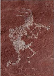Kokopelli in Canyonlands National Park