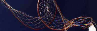 Red Eagle of Dawn DreamCatchers of the Seventh Fire DreamCatcher Heritage Collection